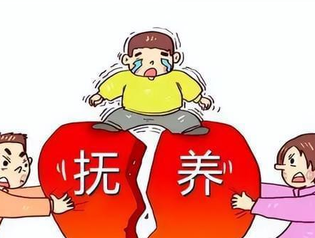 法图咨询