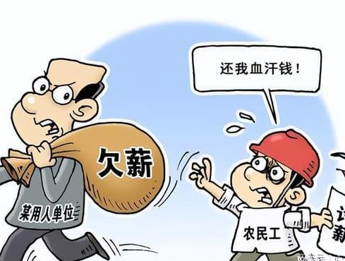 法图咨询